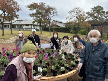 🌺吉田公園🌸
